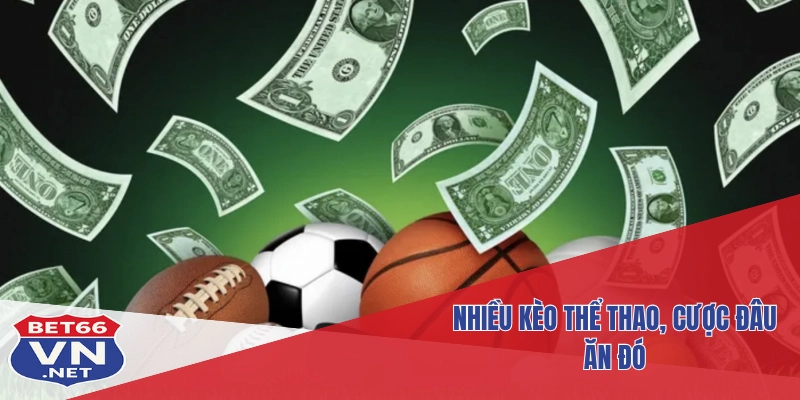Bet66 – Nhà Cái Đẳng Cấp Với Trải Nghiệm Cá Cược Toàn Diện 4 Nhiều kèo thể thao, cược đâu ăn đó