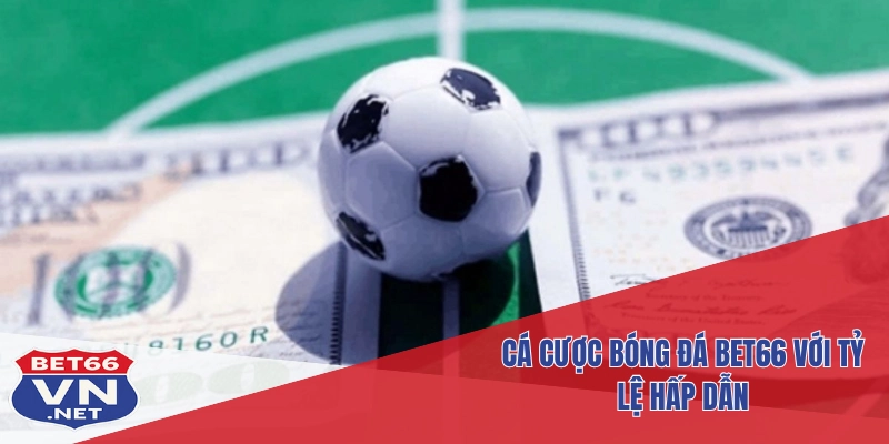 Cá cược bóng đá Bet66 với tỷ lệ hấp dẫn