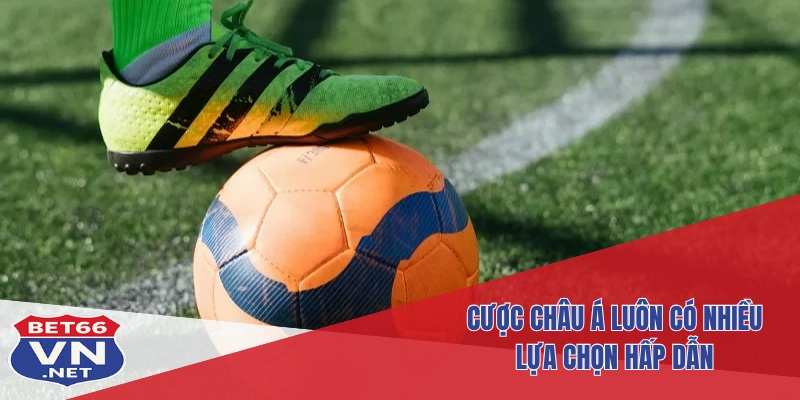 Cách Đọc & Đặt Cược Kèo Châu Á Hiệu Quả Tại Thể Thao Bet66 4 Cược châu Á luôn có nhiều lựa chọn hấp dẫn