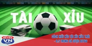 Tài xỉu nửa trái