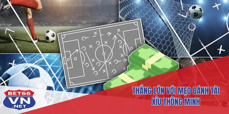 Cách Hiểu Kèo Tài Xỉu Nửa Trái - 0.5 Trong Cá Cược Bet66 4 Thắng lớn với mẹo đánh tài xỉu thông minh